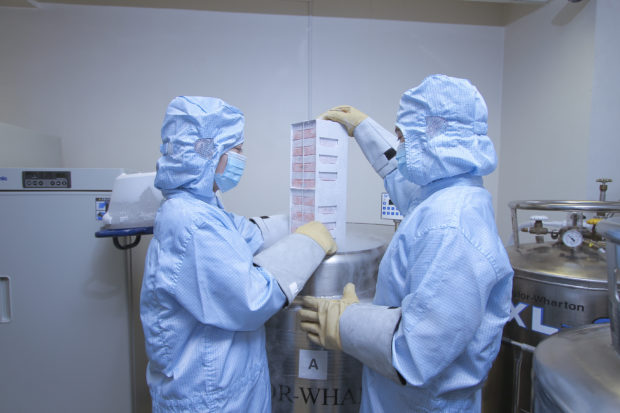 Why might a child need bone marrow transplant?