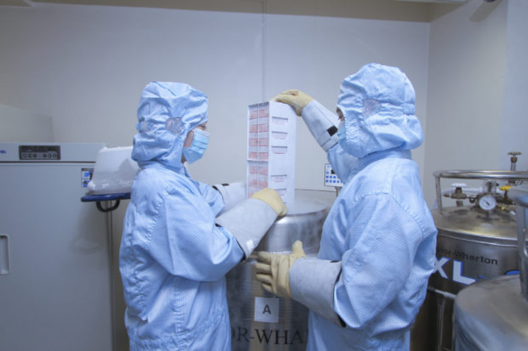 Why might a child need bone marrow transplant?