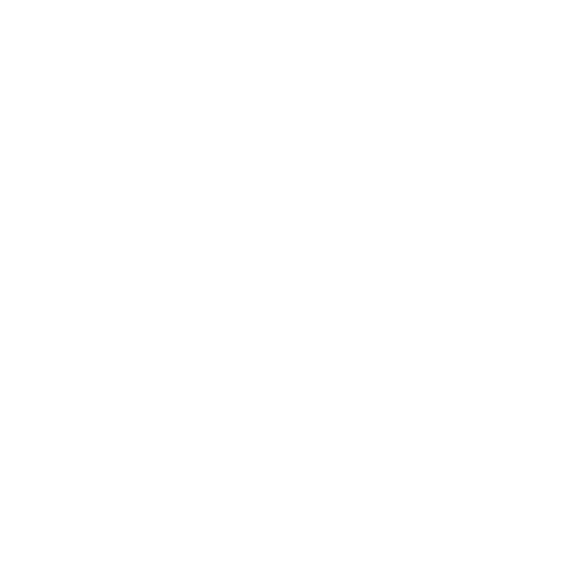 footer instagram icon