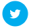 footer twitter icon